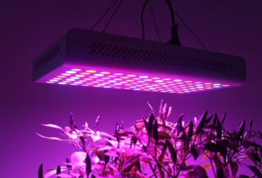 What is the principle of plant lamp growth lamp